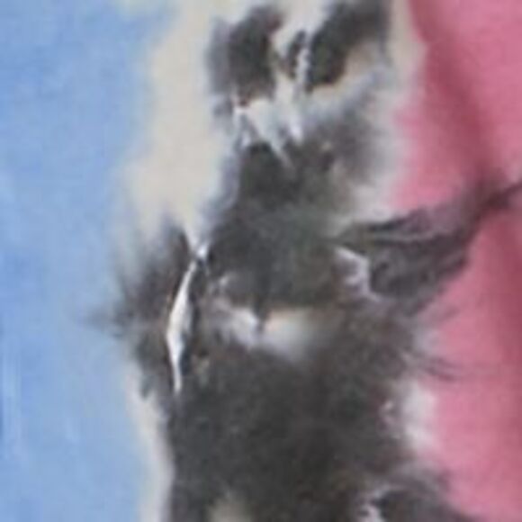 ULTRA FLIRT Womens Jersey Short Length Ribbed Pouf Crew Neck Mini Shift Dress - Picture 4 of 4